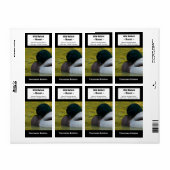 Duck Wine Label - Mallard Foto (Vorne)