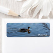 Duck wir haben Labels verschoben (Insitu)