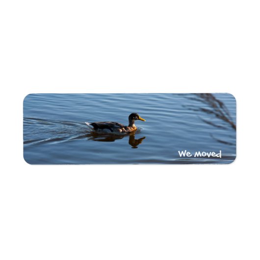 Duck wir haben Labels verschoben (Vorne)