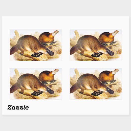 ‚Duckbilled Platypus‘ Rechteckiger Aufkleber (Blatt)