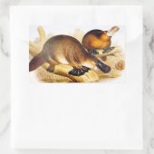 ‚Duckbilled Platypus‘ Rechteckiger Aufkleber (Tasche)