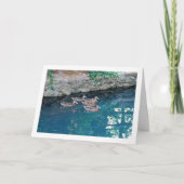 Duckbrühe in majestätischem blauen Wasser Karte (Vorderseite)