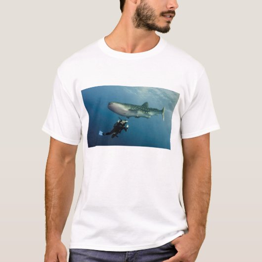 Ducken für Abdeckung? T-Shirt (Vorderseite)
