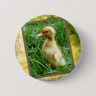 Ducken in das Gras Button