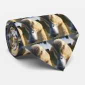 Ducken Sie Sie Krawatte (Gerollt)