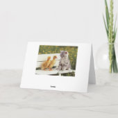 Duckheap und Freund Interview Kätzchen. Karte (Rückseite)