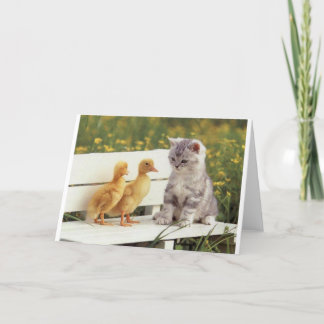 Duckheap und Freund Interview Kätzchen. Karte