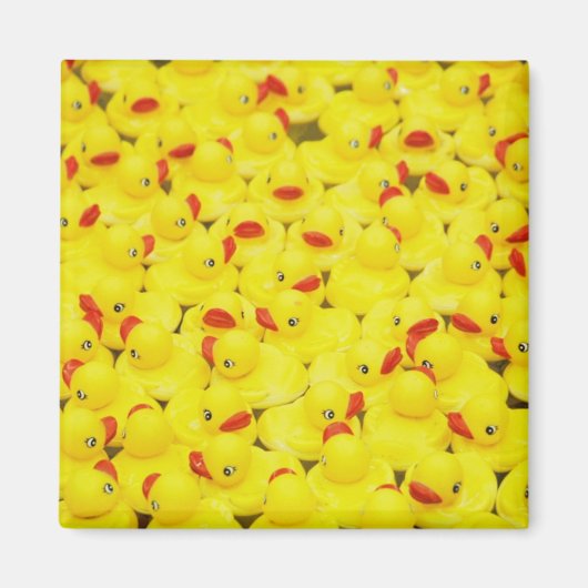 Duckies Magnet (Vorne)
