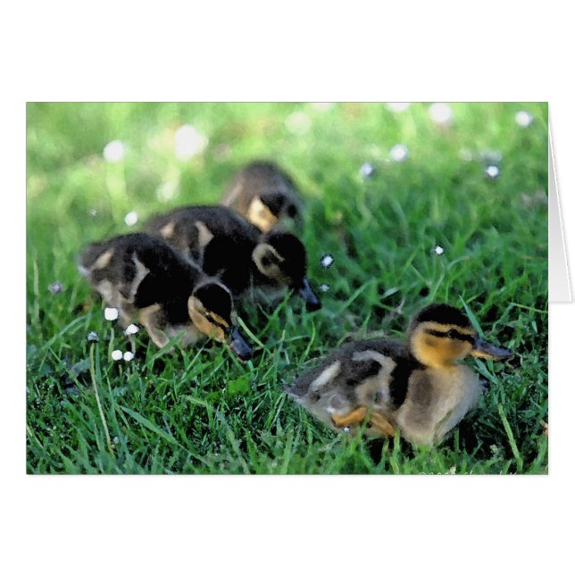 Duckingparade (Vorderseite (Horizontal))