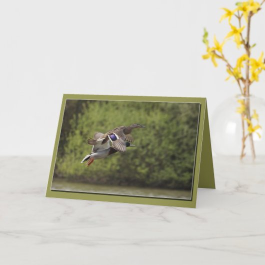 Duckkartenhalterung Karte (Gelbe Blume)