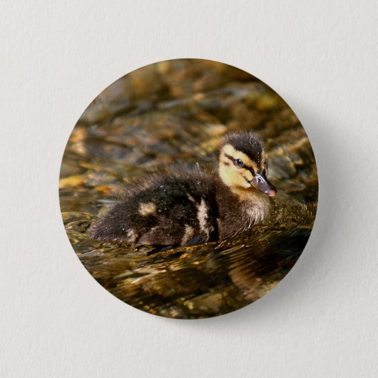 Duckling Button (Vorderseite)