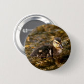 Duckling Button (Vorne & Hinten)