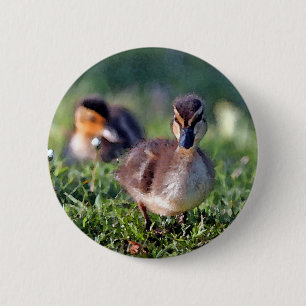 Duckling Button