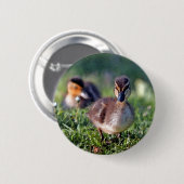 Duckling Button (Vorne & Hinten)