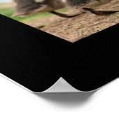 "Duckling Collection", schwarz Poster (Ecke)