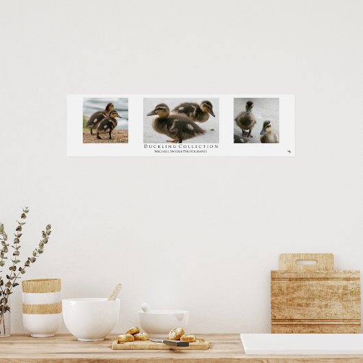 "Duckling Collection", weiß Poster (Küche)