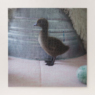 Duckling, Dark Brown Baby Duck Puzzle
