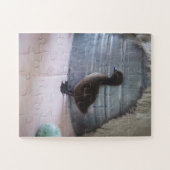 Duckling, Dark Brown Baby Duck Puzzle (Horizontal)