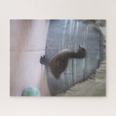 Duckling, Dark Brown Baby Duck Puzzle (Horizontal)