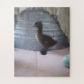 Duckling, Dark Brown Baby Duck Puzzle (Vertikal)