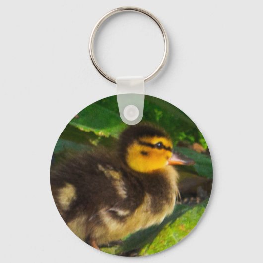 Duckling-Foto-Schlüsselanhänger Schlüsselanhänger (Vorderseite)