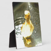 Duckling hat ein Bad. Fotoplatte (Seite)