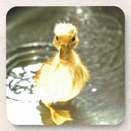 Duckling hat ein Bad. Getränkeuntersetzer (Vorderseite)