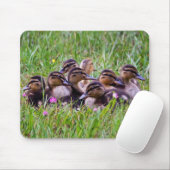 Duckling Huddle Mousemat Mousepad (Mit Mouse)