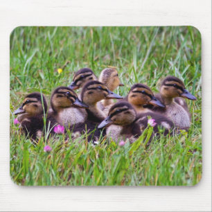 Duckling Huddle Mousemat Mousepad