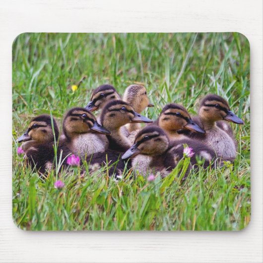 Duckling Huddle Mousemat Mousepad (Vorne)