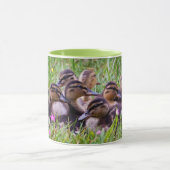 Duckling Huddle Tasse (Zentrum)