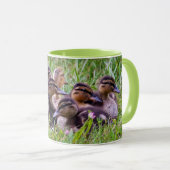 Duckling Huddle Tasse (VorderseiteRechts)
