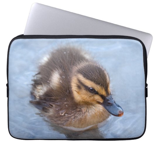 Duckling Laptop-Schläfchen Laptopschutzhülle (Vorderseite)