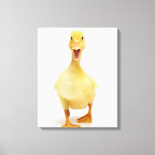 Duckling Leinwanddruck (Vorderseite)