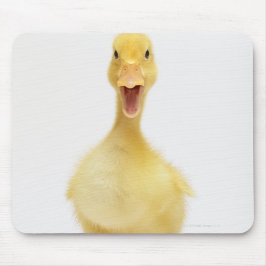 Duckling Mousepad (Vorne)