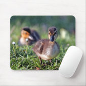 Duckling Mousepad (Mit Mouse)