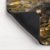 Duckling Mousepad (Ecke)