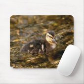 Duckling Mousepad (Mit Mouse)