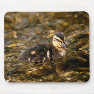 Duckling Mousepad
