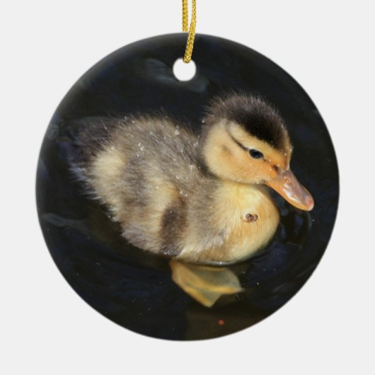 Duckling Ornament (Vorne)