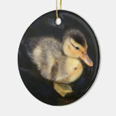 Duckling Ornament (Links)