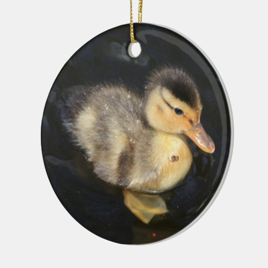 Duckling Ornament (Links)