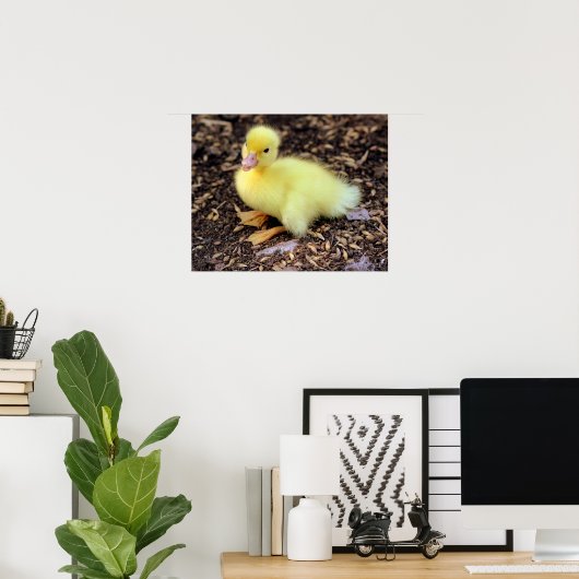 Duckling Poster (Heimbüro)