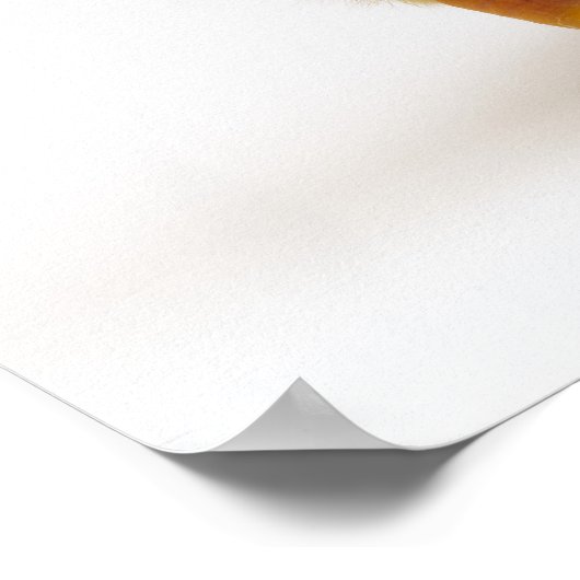 Duckling Poster (Ecke)