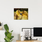 Duckling Poster (Heimbüro)