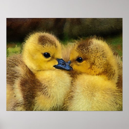 Duckling Poster (Vorne)