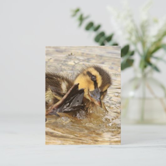 Duckling Postkarte (Stehend Vorderseite)