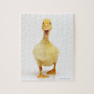 Duckling Puzzle