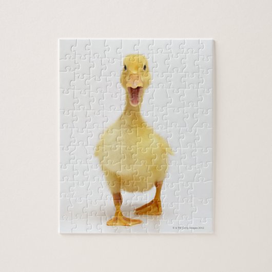 Duckling Puzzle (Vertikal)