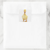 Duckling Quadratischer Aufkleber (Tasche)